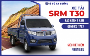 xe tai srm t30 1t2